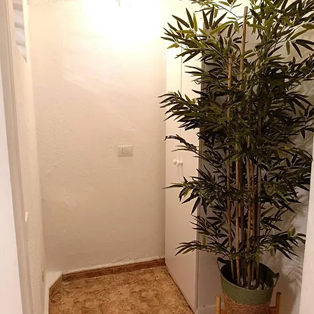 アパート Bellavista Basement